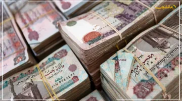 أعلى عائد شهادات البنك الأهلي اليوم.. دليلك الكامل للاستثمار الآمن بعد خفض الفائدة
